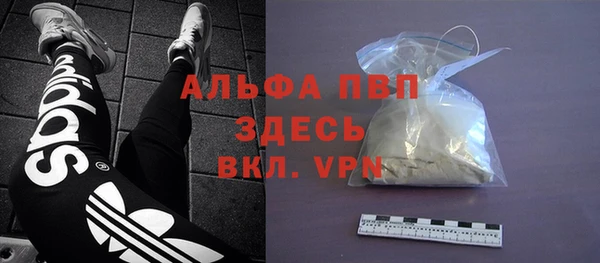 ALPHA PVP Новозыбков