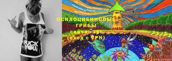 мяу мяу кристалл Новодвинск