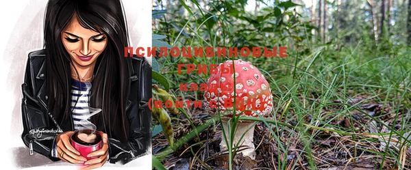 мяу мяу кристалл Новодвинск