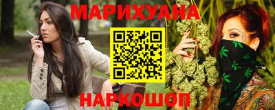 сатива Гай