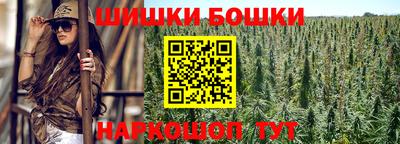 сатива Гай