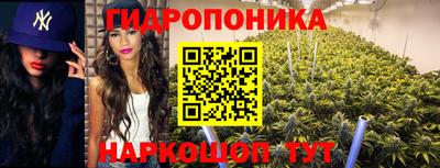 твердый Будённовск