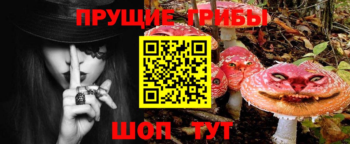 Клин  Псилоцибиновые грибы ЛСД  Галлюциногенные грибы мицелий  Вход с VPN 