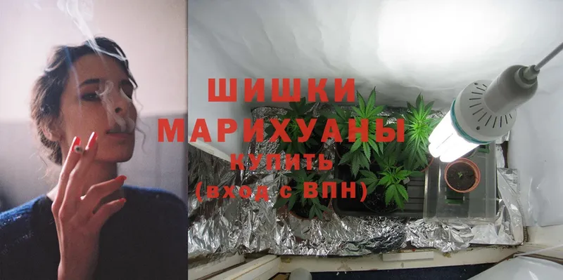 Конопля SATIVA & INDICA  купить наркотики сайты  Клин 